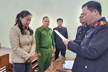 Bắt nữ chấp hành viên Chi cục Thi hành dân sự ở Hải Phòng