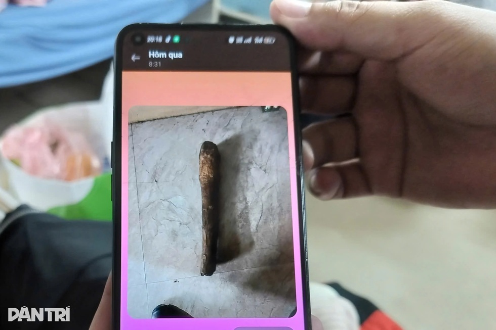 Bốn giờ bạo hành kinh hoàng và cú nhảy tìm đường sống của bé gái 12 tuổi - 2