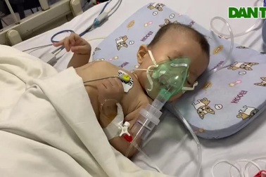 Bé Tùng Lâm đang trong tình cảnh nguy kịch