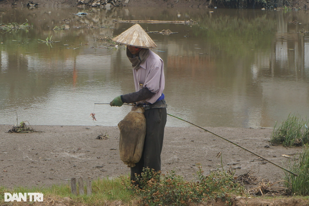 Săn con cực nhát giữa nắng nóng đổ lửa, nông dân thu vài trăm ngàn mỗi ngày - 5 Săn con cực nhát giữa nắng nóng đổ lửa, nông dân thu vài trăm ngàn mỗi ngày - 5