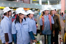 Phạt nặng doanh nghiệp cho mượn giấy phép tuyển dụng lao động xuất khẩu