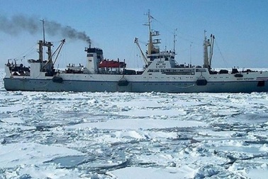 Chủ tịch nước gửi điện thăm hỏi tới Tổng thống Liên bang Nga