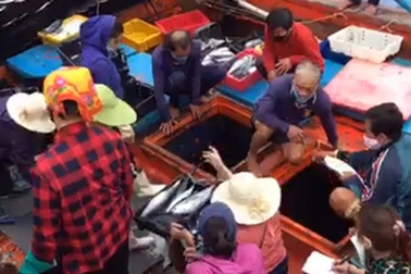 Hà Tĩnh: Dự chi 233 tỷ đồng tới nhóm lao động bị mất việc làm vì Covid-19