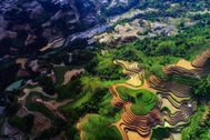Du lịch Tả Sử Choóng, nơi "đệ nhất danh thắng ruộng bậc thang"