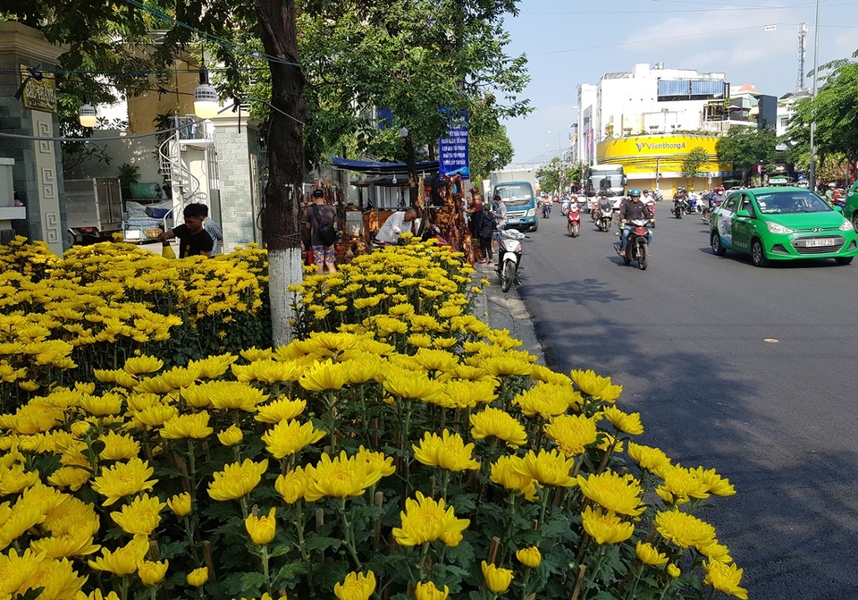 Nha Trang ngập tràn sắc xuân, du khách háo hức dạo phố đèn lồng - 3 Nha Trang ngập tràn sắc xuân, du khách háo hức dạo phố đèn lồng - 3