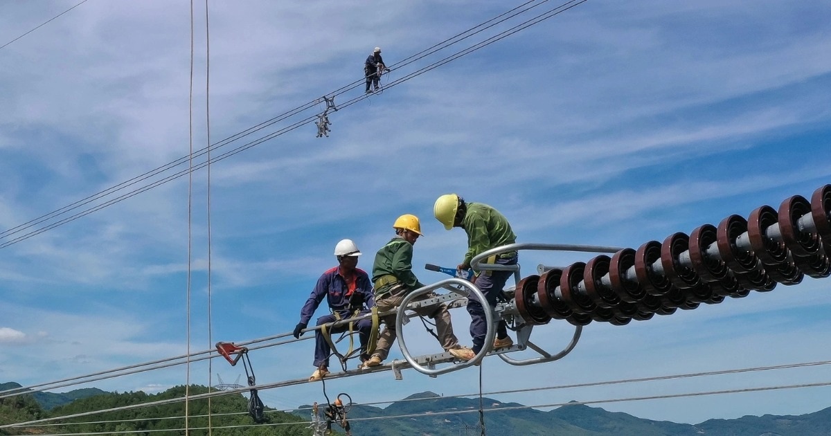 dantri.com.vn