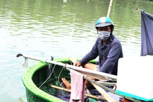 Nhân viên du lịch Hội An về làm nông: "Mình về nuôi cá và trồng thêm rau"!