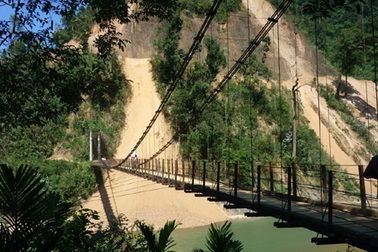 Trà Cang:  Một góc nhìn!