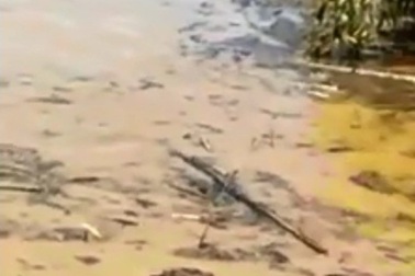 Phát hiện 2 thi thể trôi dạt giữa dòng nước lũ tại huyện Mường Lát