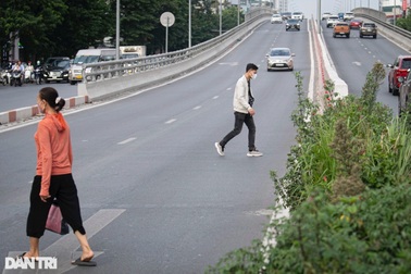 Xử phạt người đi bộ vi phạm luật giao thông: Xin đừng bất ngờ!