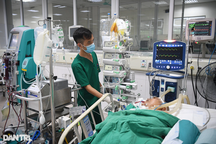 Hà Nội: Người đàn ông tử vong sau khi mổ lợn