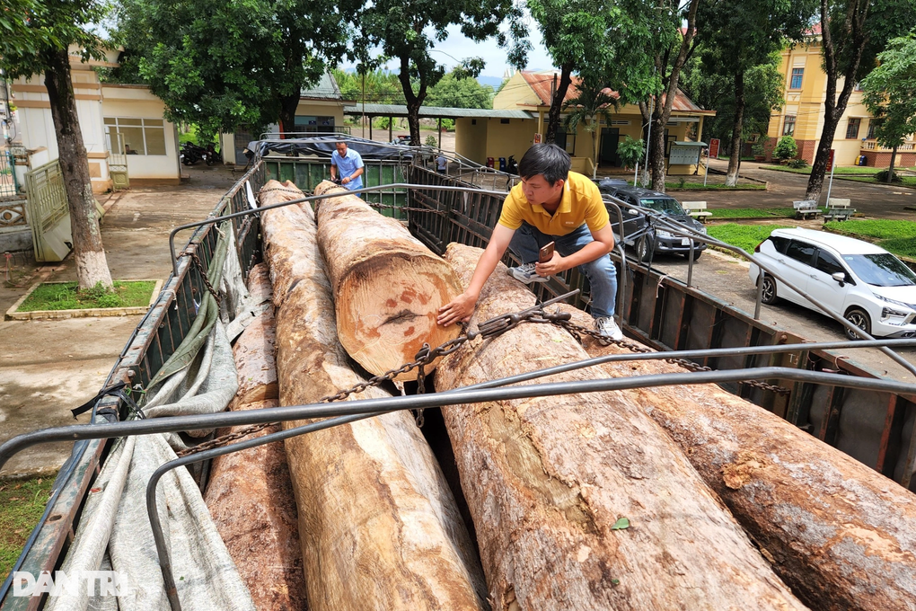 Khởi tố loạt đối tượng vận chuyển gỗ lậu ở vùng biên - 2 Khởi tố loạt đối tượng vận chuyển gỗ lậu ở vùng biên - 2