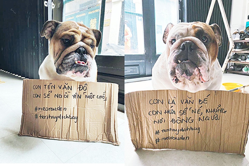 Các trào lưu trong mùa dịch của giới trẻ - 10 Các trào lưu trong mùa dịch của giới trẻ - 10