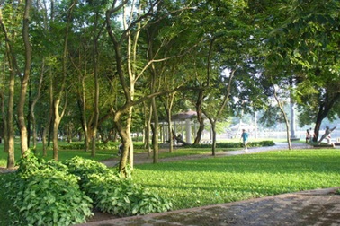 "Không vì lợi ích trước mắt mà giảm diện tích không gian xanh"