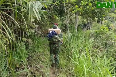 Đường vào chốt kiểm dịch ở biên giới Việt Lào