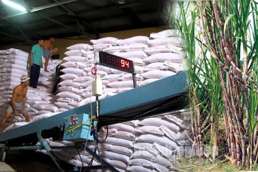 Ngành đường mở hội nghị quốc tế "mổ xẻ" thực trạng, định vị tương lai