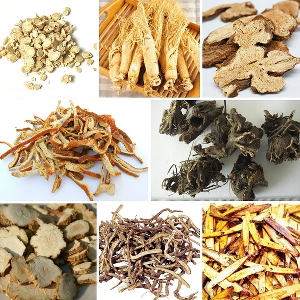Đông y vẫn có tác dụng nhanh và mạnh trong điều trị trĩ cấp tính - 1 Đông y vẫn có tác dụng nhanh và mạnh trong điều trị trĩ cấp tính - 1
