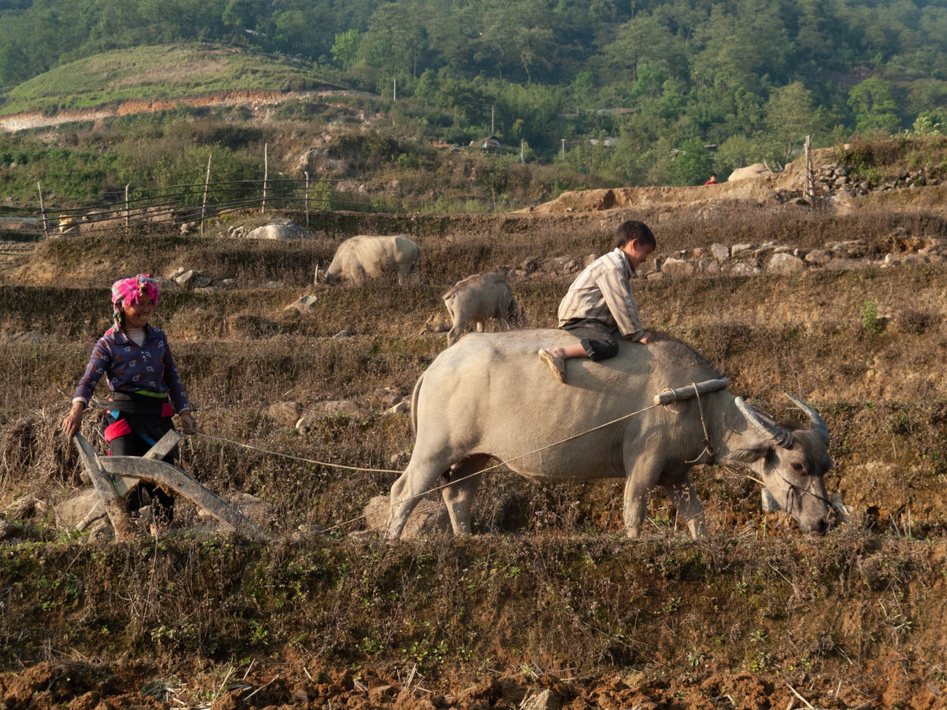 Tình mẫu tử thiêng liêng của phụ nữ Việt qua triển lãm ảnh Mẹ yêu con - 7 Tình mẫu tử thiêng liêng của phụ nữ Việt qua triển lãm ảnh Mẹ yêu con - 7