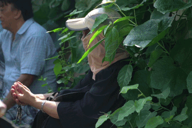 Xúc động qua từng khoảnh khắc mùa thi THPT 2023