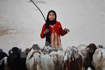 Nhiều trẻ em gái không có tuổi thơ vì sớm bị bóc lột sức lao động