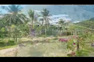 Bình Định: Đưa Quy Nhơn trở thành thành phố khoa học, văn minh