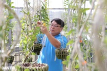 Mãn nhãn với gia tài của ông chủ vườn phải đưa vào hội ... cai nghiện lan