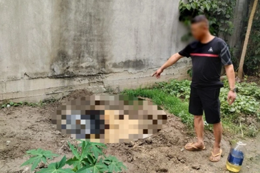 Nam sinh 15 tuổi ở Hải Phòng sát hại bạn gái, chôn xác trong vườn