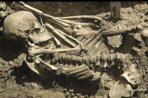 Phát hiện hài cốt lâu đời nhất từng bị cá mập tấn công