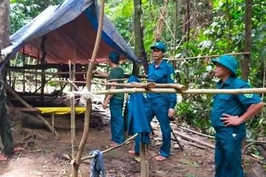 6 người lén lút vào rừng khai thác vàng trái phép