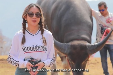 Trâu nước cao 1,85m như sinh vật khổng lồ khi đứng cạnh con người