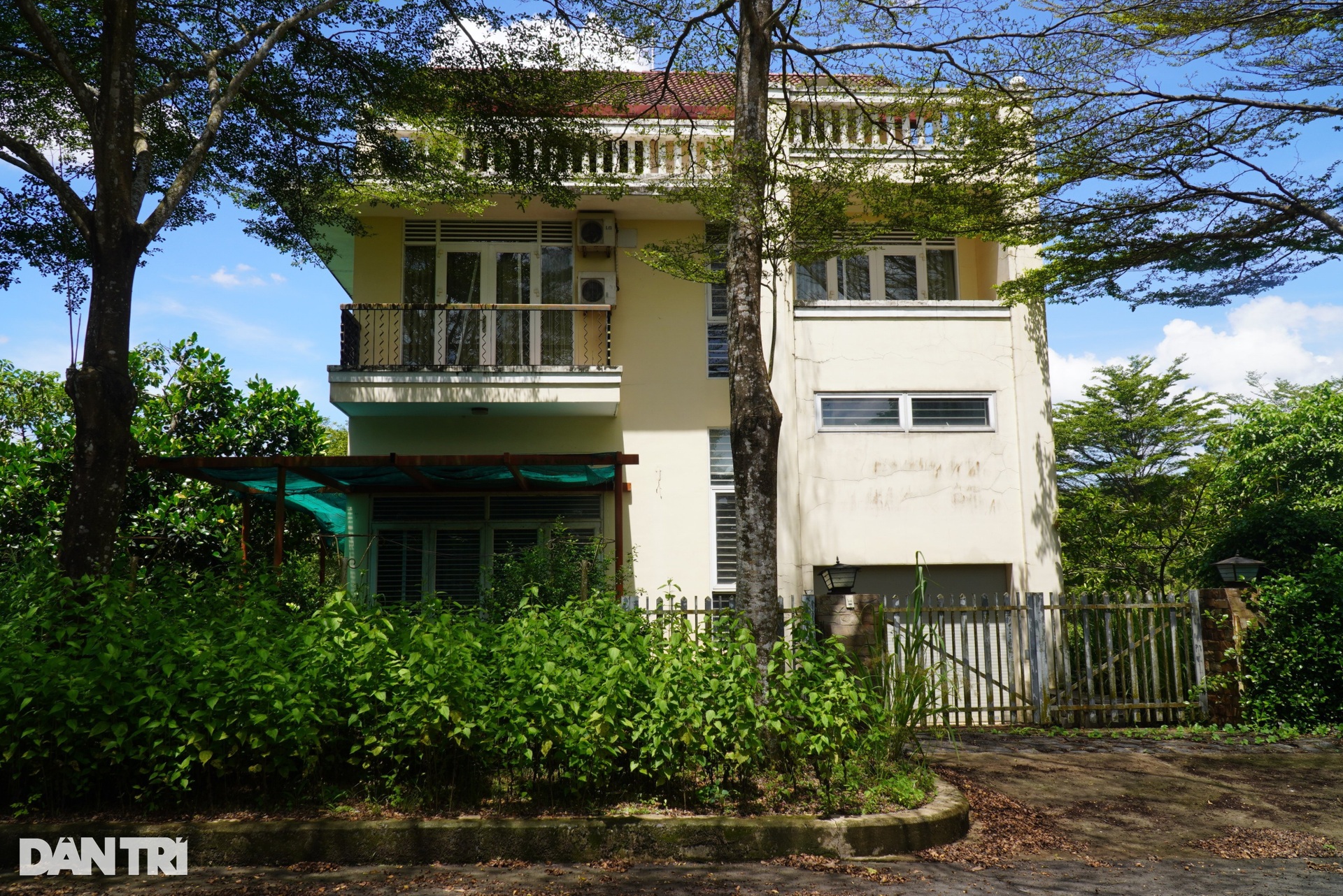 Khu dân cư mật độ thấp Giang Điền hoang tàn, cây cỏ mọc um tùm - 12 Khu dân cư mật độ thấp Giang Điền hoang tàn, cây cỏ mọc um tùm - 12