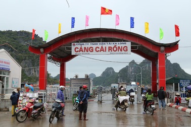 “Làm luật” các chủ hàng kinh doanh hải sản, 6 đối tượng bị bắt