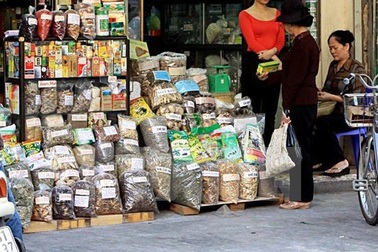 Báo động hàng chục nghìn tấn dược liệu lậu vào thị trường