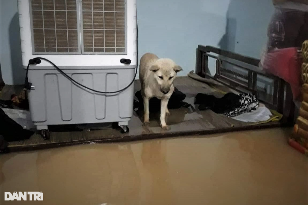 Hàng trăm người trắng đêm cứu con đập nguy cơ vỡ - 11 Hàng trăm người trắng đêm cứu con đập nguy cơ vỡ - 11