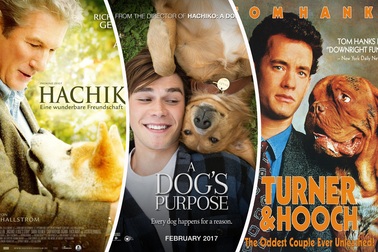 10 chú chó nổi danh màn bạc