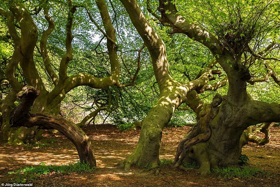 Bạn có nhìn thấy người mẫu khỏa thân trong ảnh này? - 7 Bạn có nhìn thấy người mẫu khỏa thân trong ảnh này? - 7