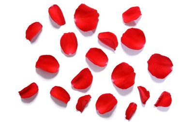 Cả tin, mất cả sản nghiệp cho người yêu cũ