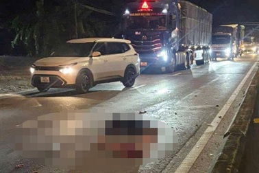 Công an Tây Ninh bác tin người đàn ông tự lao mình vào xe đầu kéo