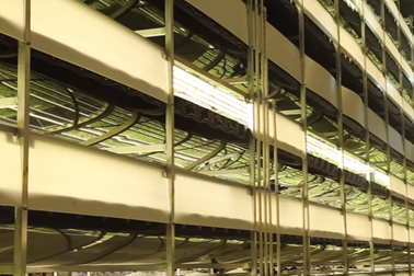 Trang trại tương lai: Không sử dụng đất và ít nước hơn 95%