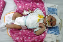 Ánh mắt trong veo như biết nói của bé Nhân Hòa