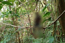 Cụ ông để lại thư tuyệt mệnh chỉ chỗ tự tử