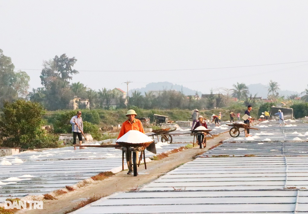 Nghề làm một ngày ăn cả năm, diêm dân không đủ tiền mua một yến gạo - 6 Nghề làm một ngày ăn cả năm, diêm dân không đủ tiền mua một yến gạo - 6