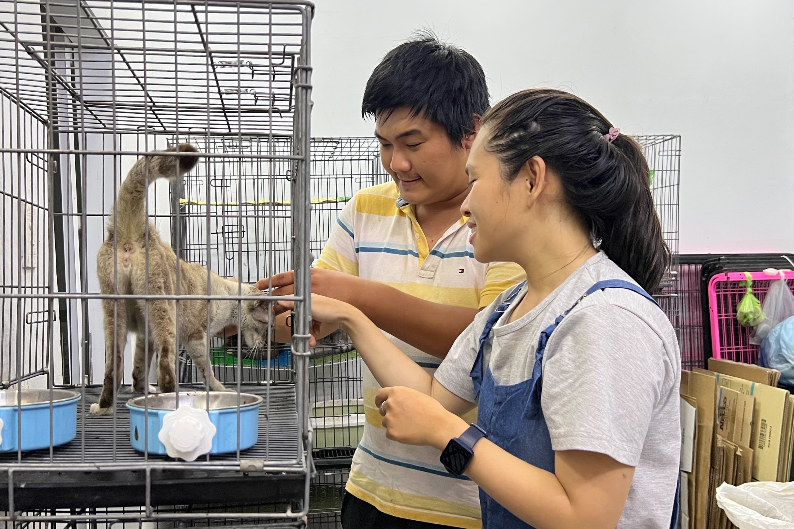Ngôi nhà hạnh phúc của hàng trăm chú mèo tại trung tâm TPHCM - 4 Ngôi nhà hạnh phúc của hàng trăm chú mèo tại trung tâm TPHCM - 4