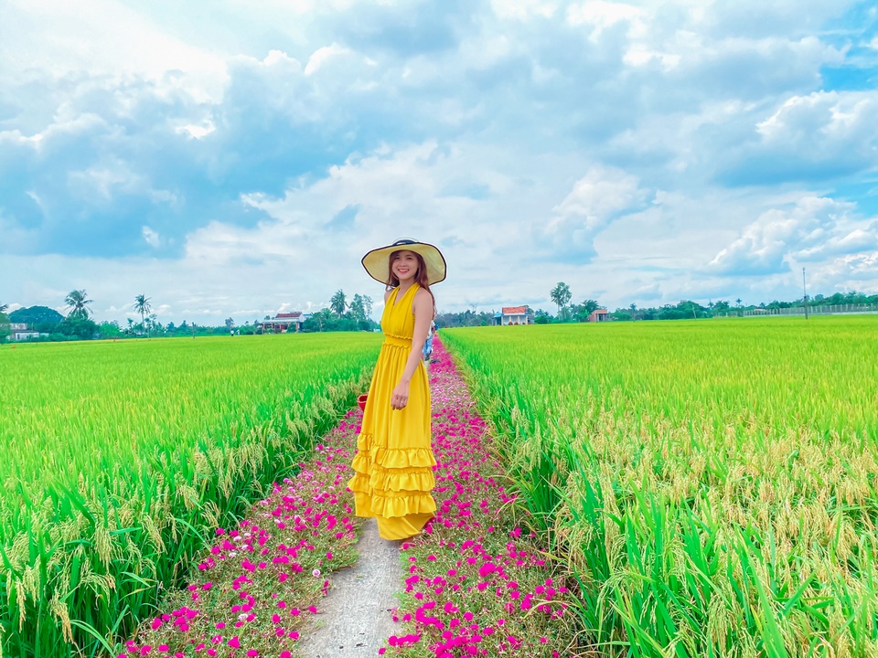 Hướng dẫn tới đường hoa mười giờ đẹp nhất Gò Công - 1 Hướng dẫn tới đường hoa mười giờ đẹp nhất Gò Công - 1