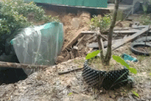 "Hố tử thần" ở Hà Tĩnh: Nghi có lỗ hổng như đường hầm trong lòng đất