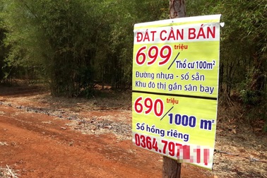 Ôm nợ vì "lướt sóng" đất quanh khu sân bay Técníc