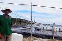 Nông dân “bỏ túi” cả tỷ đồng nhờ nuôi tôm công nghệ cao