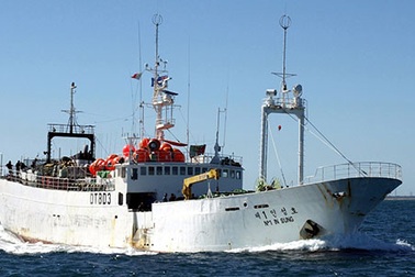 Hai thuyền viên Việt Nam bị tố sát hại thuyền trưởng Hàn Quốc