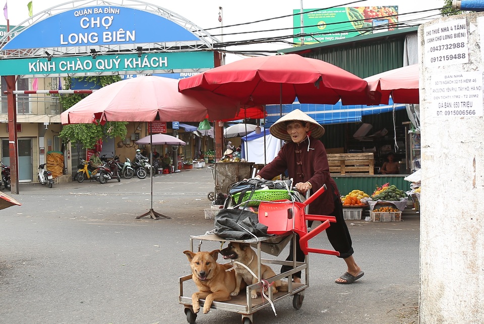 Hà Nội: Sống tròn một thế kỷ, cụ bà vẫn mưu sinh dưới nắng nóng 35 độ C - 6 Hà Nội: Sống tròn một thế kỷ, cụ bà vẫn mưu sinh dưới nắng nóng 35 độ C - 6