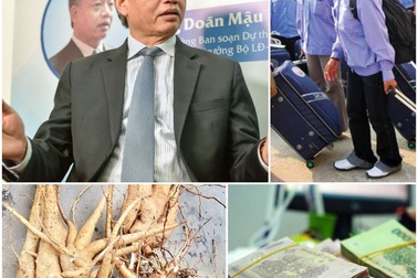 Tăng tuổi hưu, việc làm người trẻ và 1 triệu lao động thất nghiệp